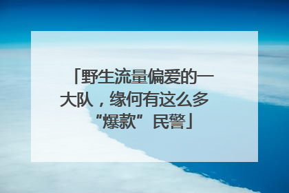 野生流量偏爱的一大队，缘何有这么多“爆款”民警