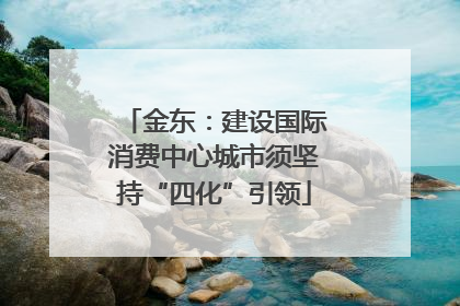 金东：建设国际消费中心城市须坚持“四化”引领