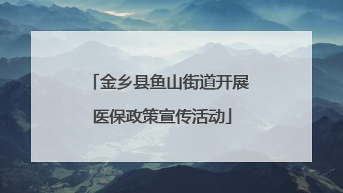金乡县鱼山街道开展医保政策宣传活动