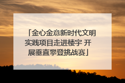 金心金意新时代文明实践项目走进楼宇 开展垂直攀登挑战赛