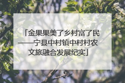 金果果美了乡村富了民——宁县中村镇中村村农文旅融合发展纪实