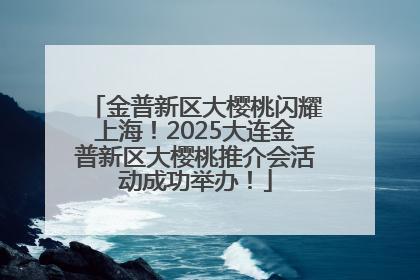 金普新区大樱桃闪耀上海！2025大连金普新区大樱桃推介会活动成功举办！