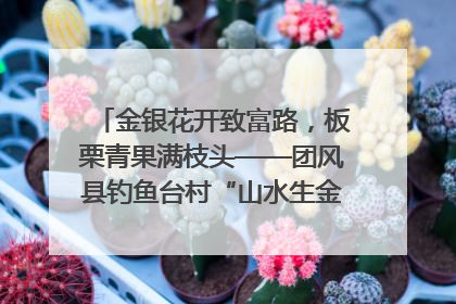 金银花开致富路，板栗青果满枝头——团风县钓鱼台村“山水生金”谱写共富新篇章
