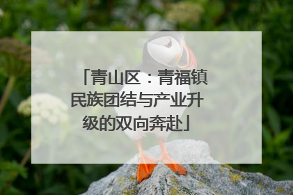 青山区：青福镇民族团结与产业升级的双向奔赴