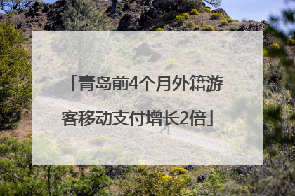 青岛前4个月外籍游客移动支付增长2倍