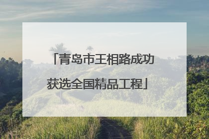 青岛市王相路成功获选全国精品工程