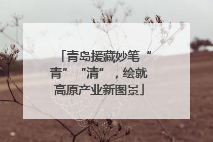 青岛援藏妙笔“青”“清”，绘就高原产业新图景