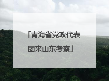 青海省党政代表团来山东考察