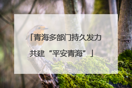 青海多部门持久发力共建“平安青海”