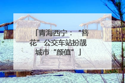 青海西宁：“簪花”公交车站扮靓城市“颜值”