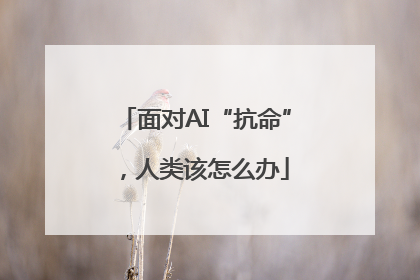 面对AI“抗命”，人类该怎么办