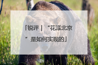 锐评｜“花漾北京”是如何实现的