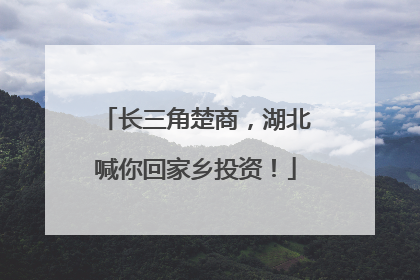 长三角楚商，湖北喊你回家乡投资！
