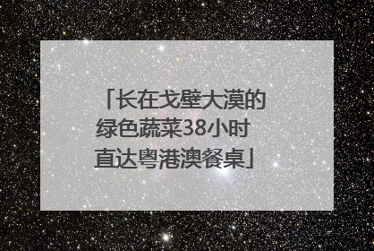 长在戈壁大漠的绿色蔬菜38小时直达粤港澳餐桌
