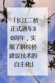 长江二桥正式通车30周年，实现了斜拉桥建设技术的自主化