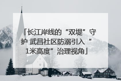 长江岸线的“双堤”守护 武昌社区防溺引入“1米高度”治理视角