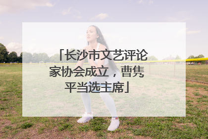 长沙市文艺评论家协会成立，曹隽平当选主席