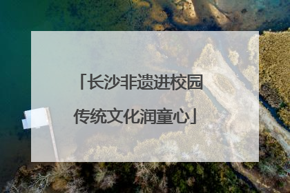 长沙非遗进校园 传统文化润童心