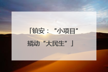 镇安：“小项目”撬动“大民生”