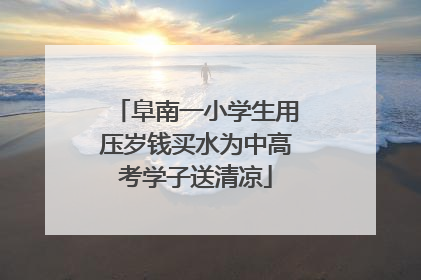 阜南一小学生用压岁钱买水为中高考学子送清凉