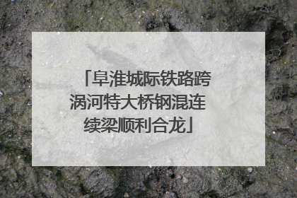 阜淮城际铁路跨涡河特大桥钢混连续梁顺利合龙