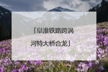 阜淮铁路跨涡河特大桥合龙