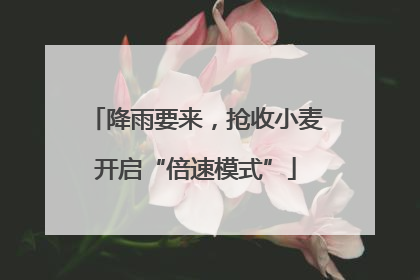 降雨要来，抢收小麦开启“倍速模式”