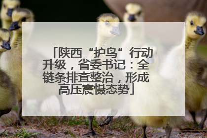 陕西“护鸟”行动升级，省委书记：全链条排查整治，形成高压震慑态势