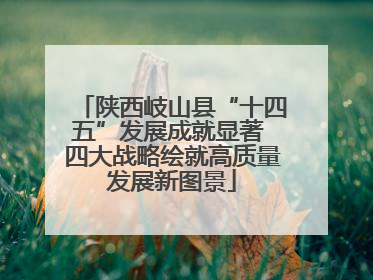 陕西岐山县“十四五”发展成就显著 四大战略绘就高质量发展新图景