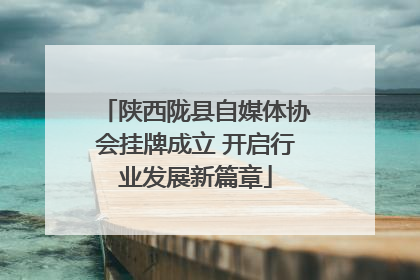 陕西陇县自媒体协会挂牌成立 开启行业发展新篇章
