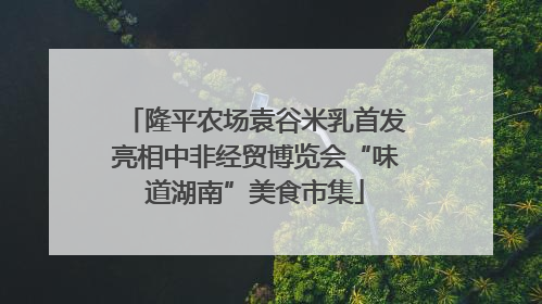 隆平农场袁谷米乳首发亮相中非经贸博览会“味道湖南”美食市集