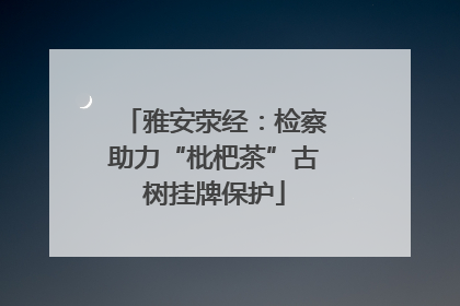 雅安荥经：检察助力“枇杷茶”古树挂牌保护