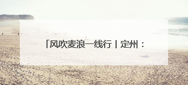 风吹麦浪一线行丨定州：土地托管带来稳产增收