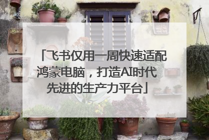 飞书仅用一周快速适配鸿蒙电脑，打造AI时代先进的生产力平台