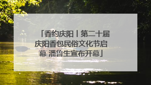 香约庆阳丨第二十届庆阳香包民俗文化节启幕 潘鲁生宣布开幕