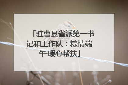驻曹县省派第一书记和工作队：粽情端午·暖心帮扶