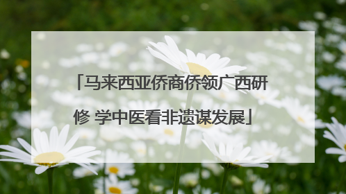 马来西亚侨商侨领广西研修 学中医看非遗谋发展