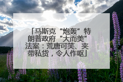 马斯克“炮轰”特朗普政府“大而美”法案：荒唐可笑、夹带私货，令人作呕
