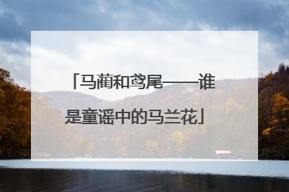 马蔺和鸢尾——谁是童谣中的马兰花