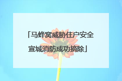 马蜂窝威胁住户安全 宣城消防成功摘除