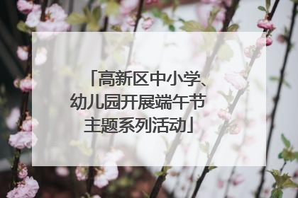 高新区中小学、幼儿园开展端午节主题系列活动