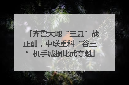 齐鲁大地“三夏”战正酣，中联重科“谷王”机手减损比武夺魁