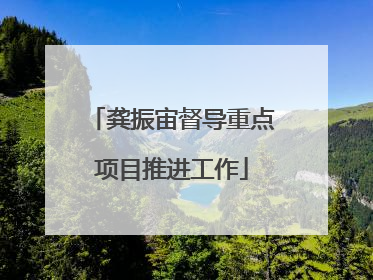 龚振宙督导重点项目推进工作