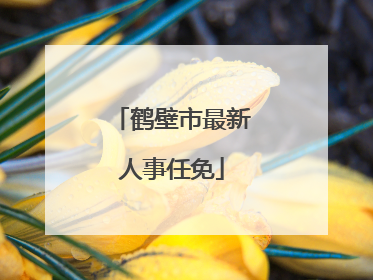 鹤壁市最新人事任免