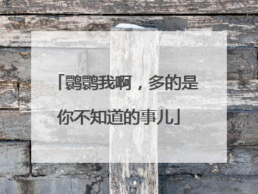 鹮鹮我啊，多的是你不知道的事儿