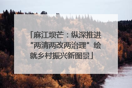 麻江坝芒：纵深推进“两清两改两治理”绘就乡村振兴新图景