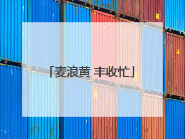 麦浪黄 丰收忙