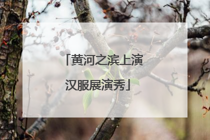 黄河之滨上演汉服展演秀