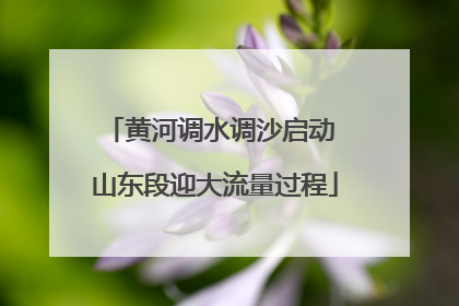 黄河调水调沙启动 山东段迎大流量过程