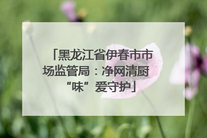 黑龙江省伊春市市场监管局：净网清厨 “味”爱守护